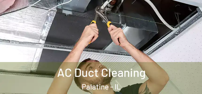  AC Duct Cleaning Palatine - IL