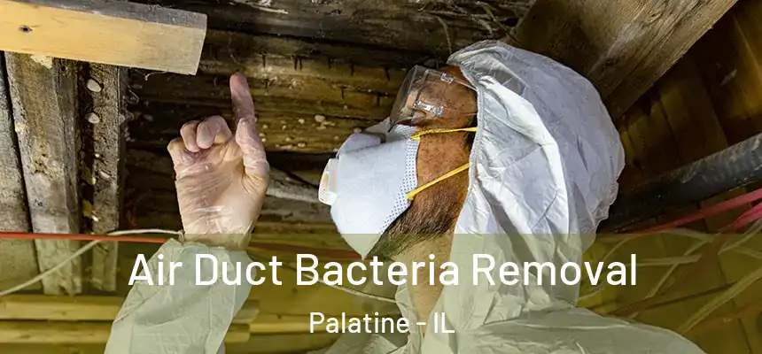  Air Duct Bacteria Removal Palatine - IL