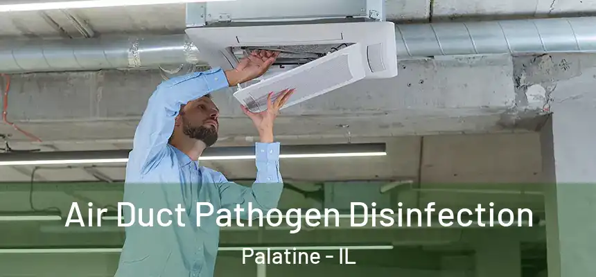  Air Duct Pathogen Disinfection Palatine - IL