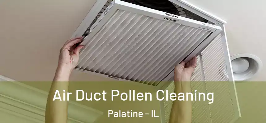  Air Duct Pollen Cleaning Palatine - IL
