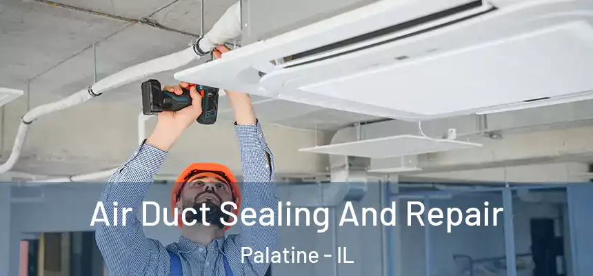  Air Duct Sealing And Repair Palatine - IL