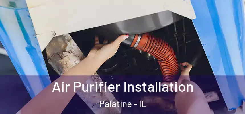  Air Purifier Installation Palatine - IL