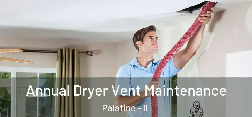  Annual Dryer Vent Maintenance Palatine - IL