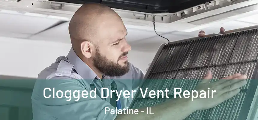  Clogged Dryer Vent Repair Palatine - IL