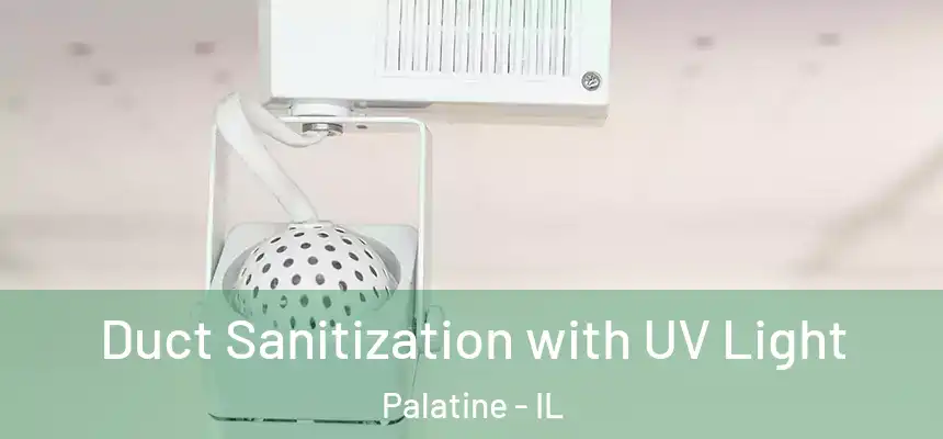  Duct Sanitization with UV Light Palatine - IL