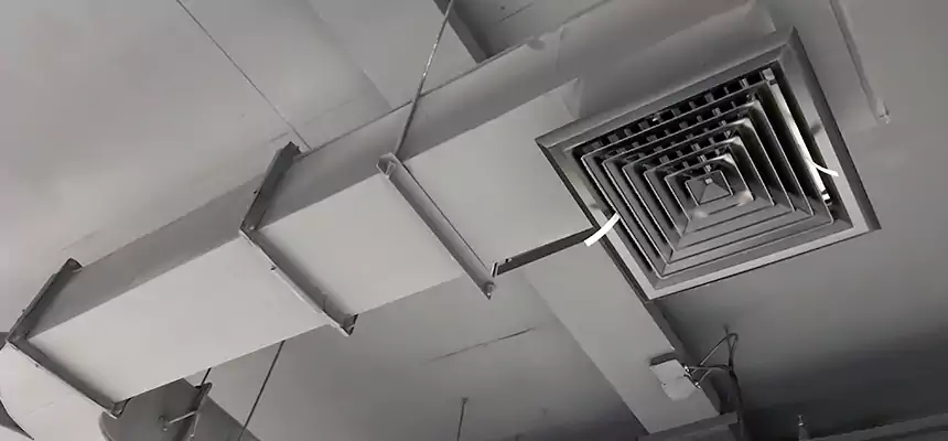 Restorative Allergy Relief Vent Cleaning – Coil, Blower & Housing Detail in Palatine