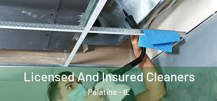 Licensed And Insured Cleaners Palatine - IL