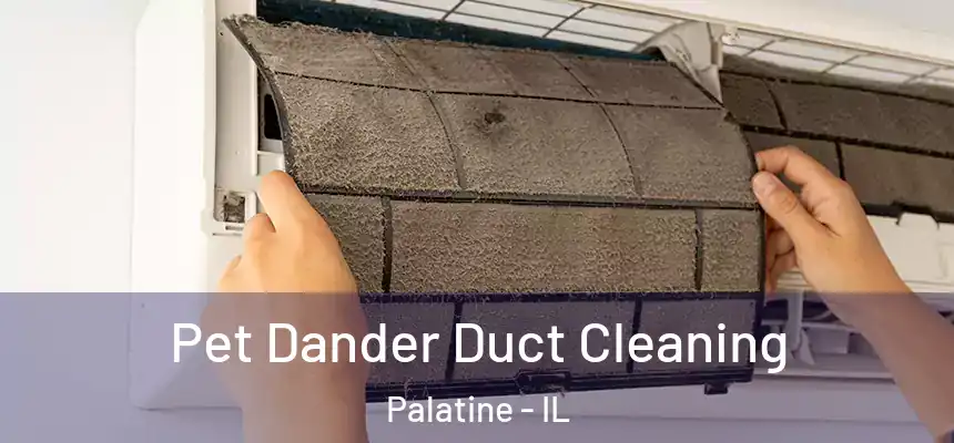  Pet Dander Duct Cleaning Palatine - IL