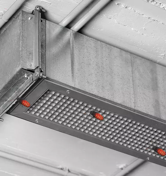About Air Duct Cockroach Removal in Palatine, IL