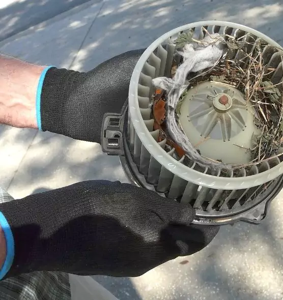 About Air Duct Mice Removal in Palatine, IL