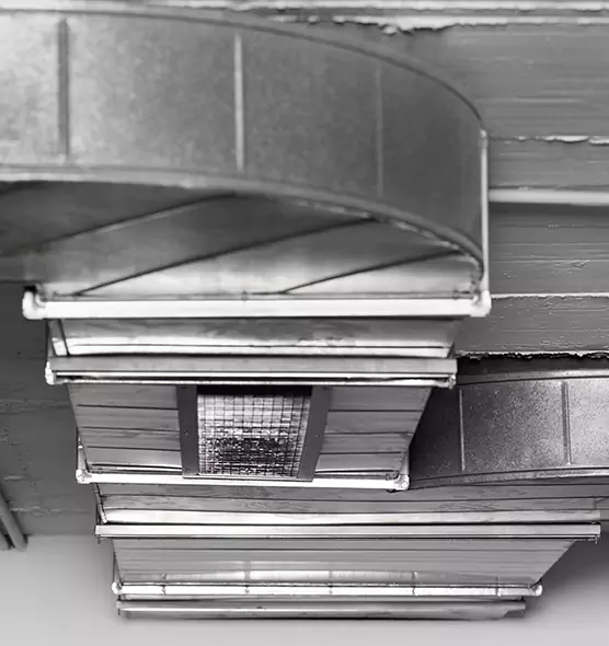 Professional Air Duct Pest Removal in Palatine, IL