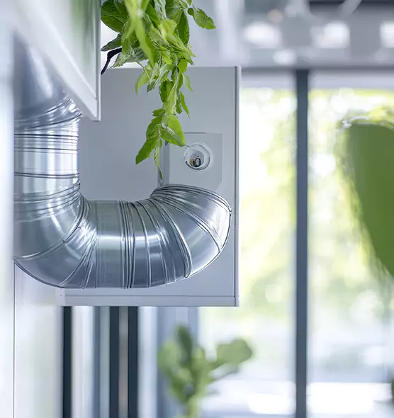 Professional Eco-Safe Dryer Vent Cleaning in Palatine, IL