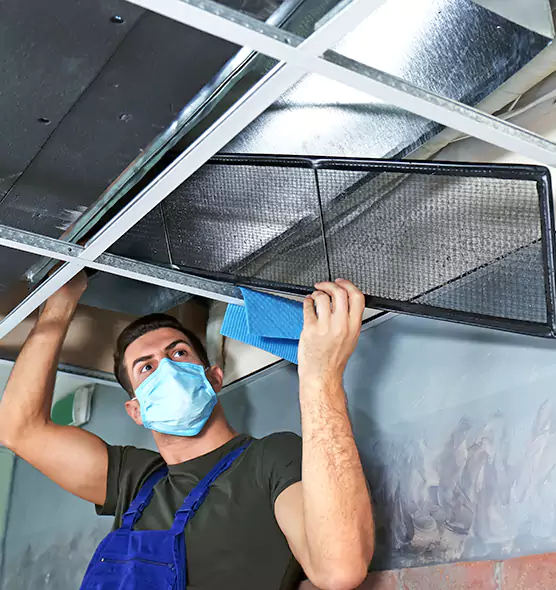 Professional Home Ventilation Cleaning in Palatine, IL