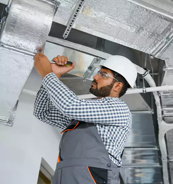 Welcome to Mold & Mildew Removal from Air Ducts Palatine, IL