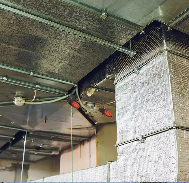 Why Homeowners & Businesses Trust Us in Palatine, IL?