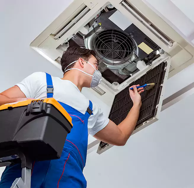 Why Homeowners & Businesses Trust Us in Palatine, IL