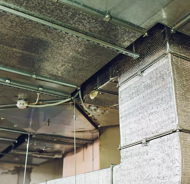 Why Homeowners & Businesses Trust Us in Palatine, IL?