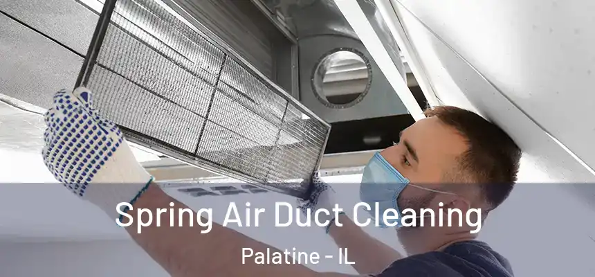 Spring Air Duct Cleaning Palatine - IL