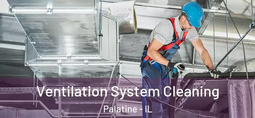  Ventilation System Cleaning Palatine - IL